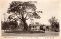 明治神宮外苑 世田谷草野球ロスヒターノス