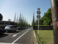 明治神宮外苑 世田谷草野球ロスヒターノス