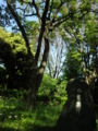 明治神宮外苑 世田谷草野球ロスヒターノス