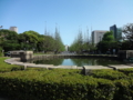 明治神宮外苑 世田谷草野球ロスヒターノス