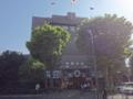 明治神宮外苑 世田谷草野球ロスヒターノス
