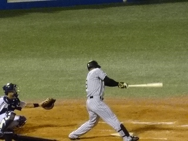 ヤクルト対阪神 世田谷草野球ロスヒターノス