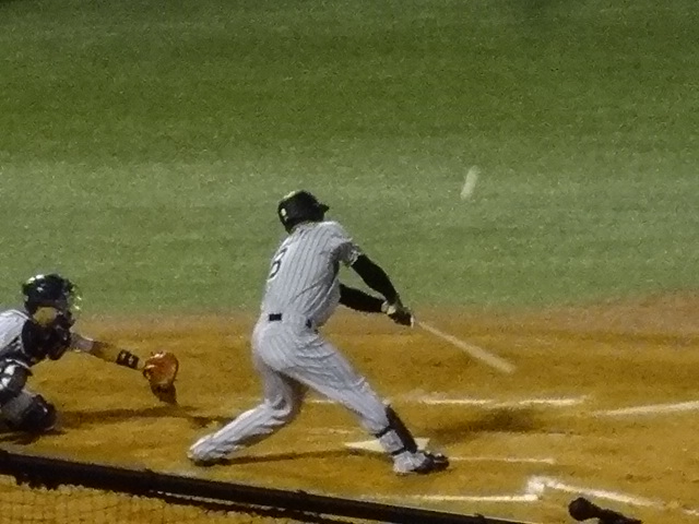 ヤクルト対阪神 世田谷草野球ロスヒターノス