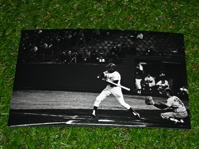 f:id:losgitanos:20210705130804j:plain