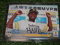 世田谷草野球ロスヒターノス 