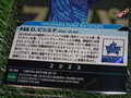 世田谷草野球ロスヒターノス 