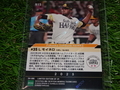 世田谷草野球ロスヒターノス 