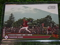 世田谷草野球ロスヒターノス 