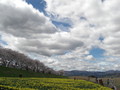 [風景]３色のコントラスト