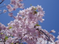 20090412123301