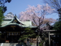20090412123302