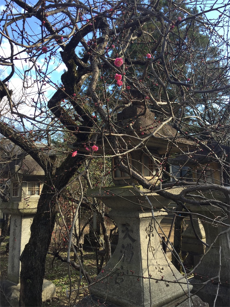 f:id:lotta1923:20160105081022j:image f:id:lotta1923:20160105081022j:image