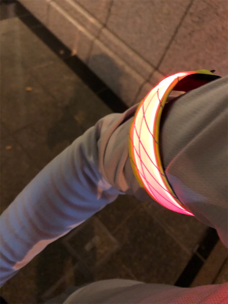 f:id:lotta1923:20190117085440j:image