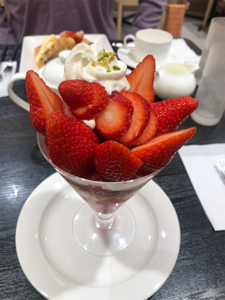 f:id:lotta1923:20190313102415j:image