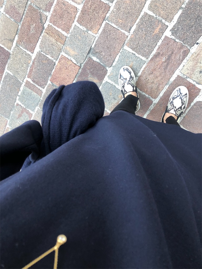 f:id:lotta1923:20190320074817j:image f:id:lotta1923:20190320074817j:image