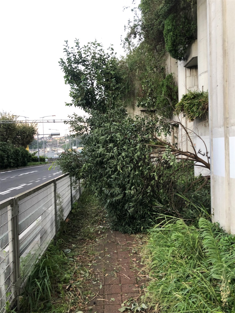 f:id:lotta1923:20190910091230j:image f:id:lotta1923:20190910091230j:image