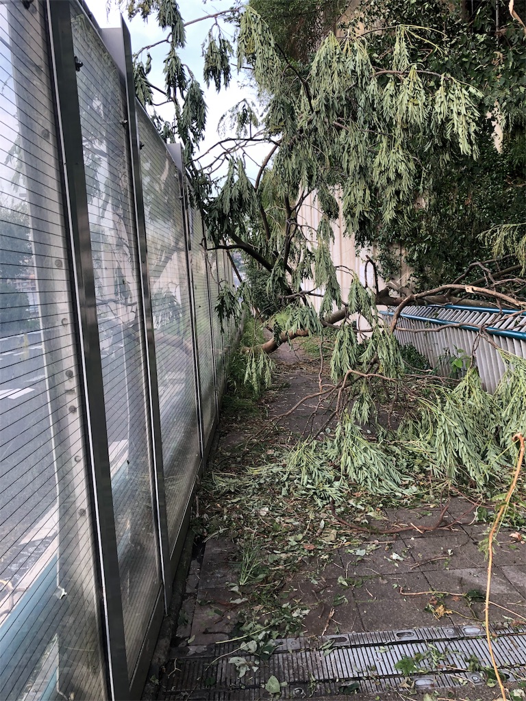f:id:lotta1923:20190910091255j:image f:id:lotta1923:20190910091255j:image