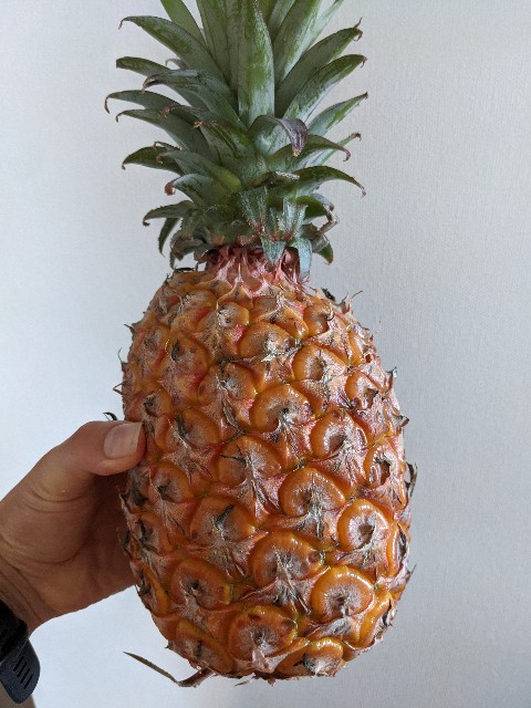 f:id:lotta1923:20210408085235j:image f:id:lotta1923:20210408085235j:image