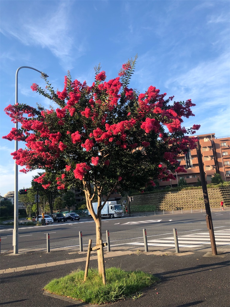 f:id:lotta1923:20210802121859j:image f:id:lotta1923:20210802121859j:image