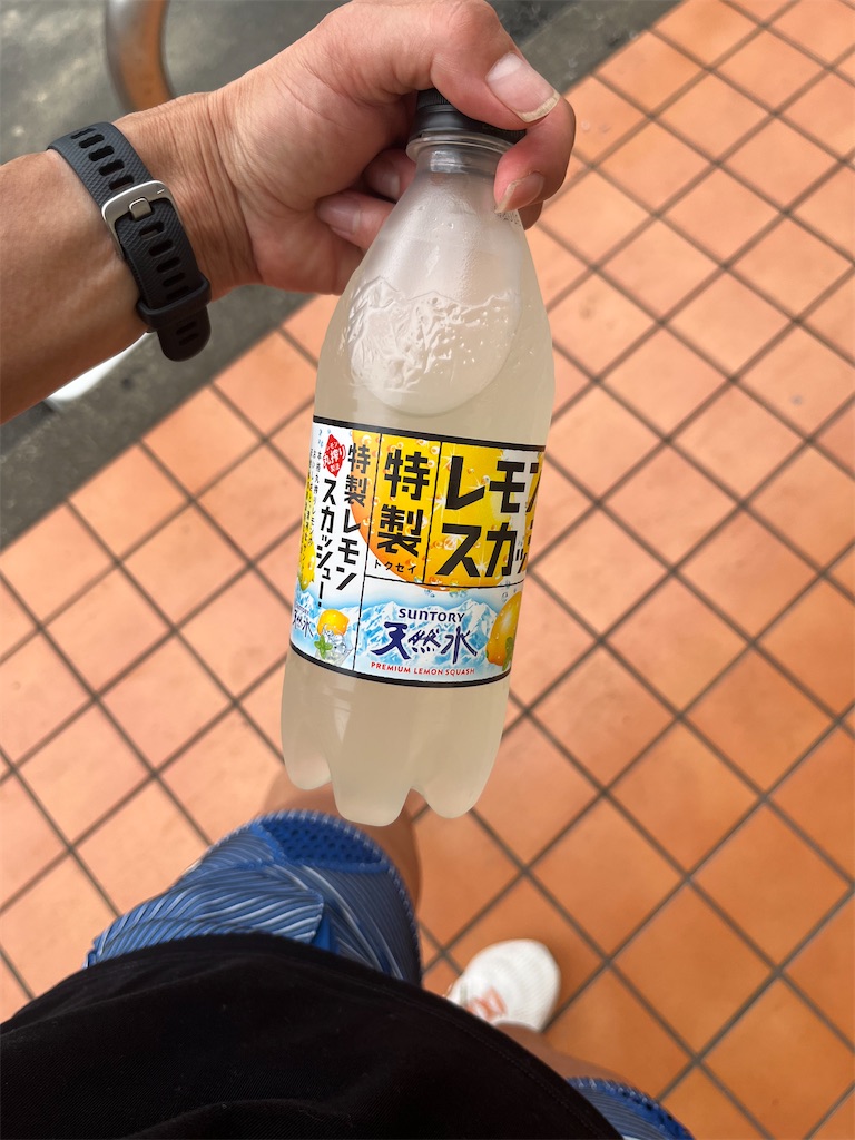 f:id:lotta1923:20230612093928j:image