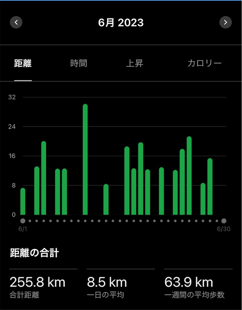 f:id:lotta1923:20230703091035j:image f:id:lotta1923:20230703091035j:image