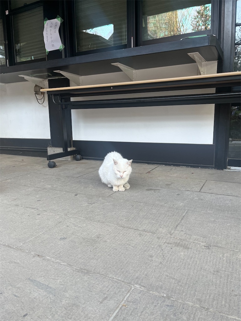 f:id:lotta1923:20240214091237j:image f:id:lotta1923:20240214091237j:image