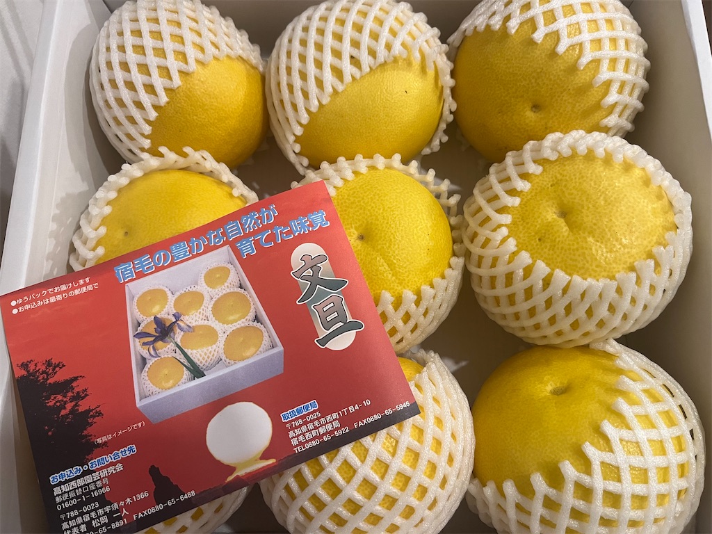 f:id:lotta1923:20240215121409j:image f:id:lotta1923:20240215121409j:image