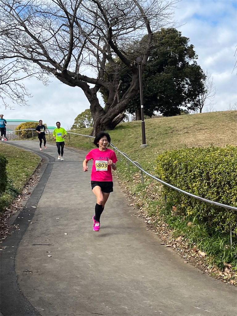 f:id:lotta1923:20240220080040j:image