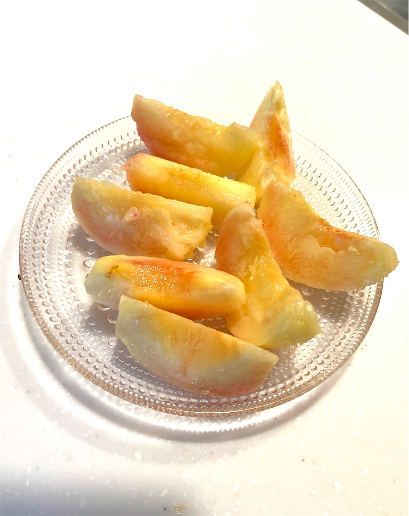 f:id:lotta1923:20240716083856j:image