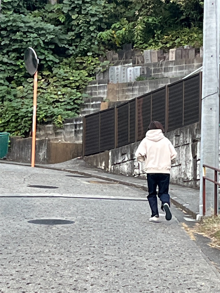 f:id:lotta1923:20251110084810j:image