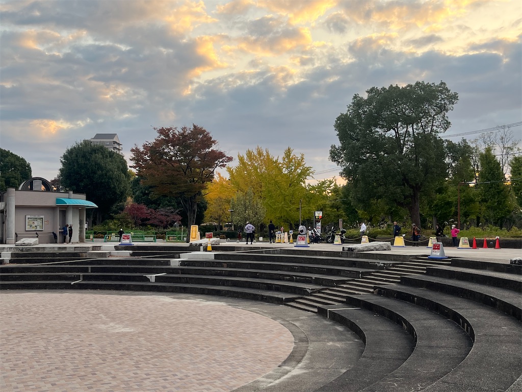 f:id:lotta1923:20251110084816j:image