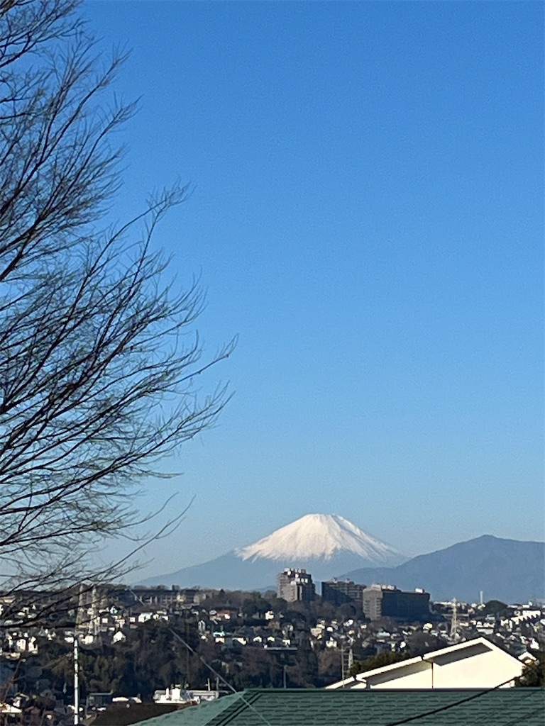 f:id:lotta1923:20260111070414j:image