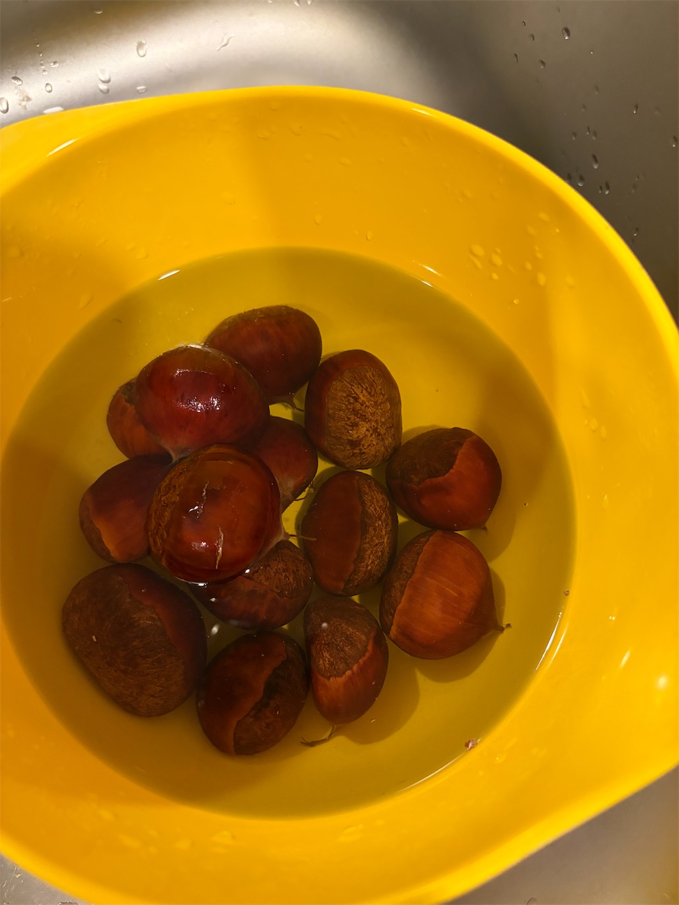 f:id:lotta1923:20261003214742j:image f:id:lotta1923:20261003214742j:image