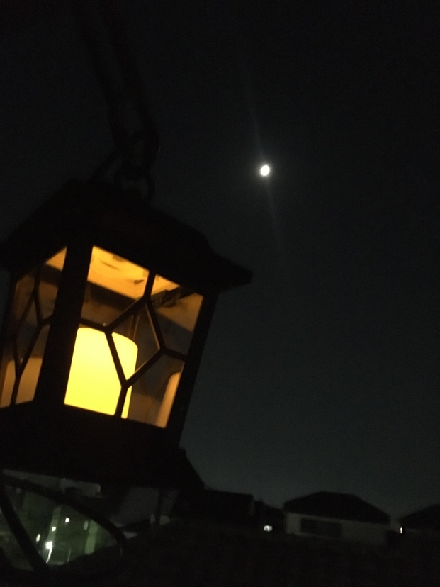 f:id:lottax:20201108140008j:plain