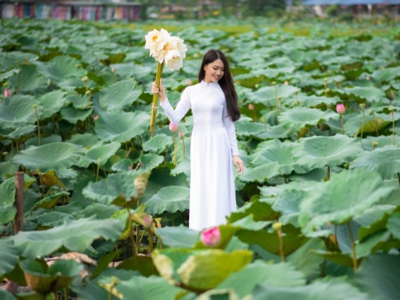 f:id:lotus0879:20200721004732j:plain f:id:lotus0879:20200721004732j:plain