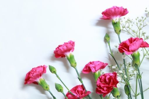 f:id:loud-w:20200422234511j:plain