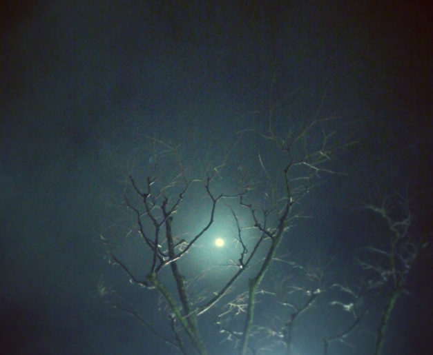 f:id:loudquasar:20170113151619p:plain f:id:loudquasar:20170113151619p:plain