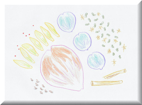 f:id:loudquasar:20170221161632j:plain f:id:loudquasar:20170221161632j:plain