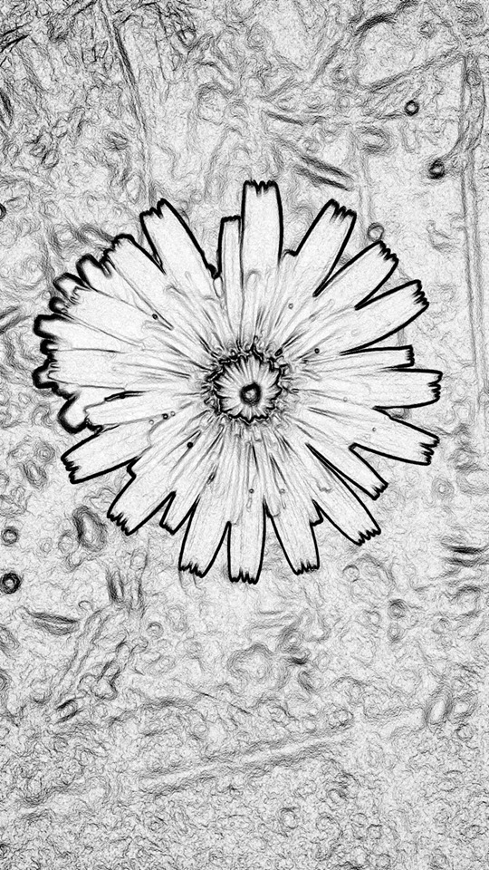 f:id:loureeds:20191029210523j:plain