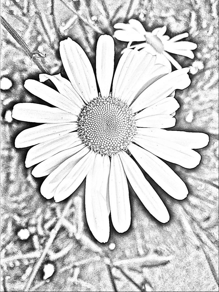f:id:loureeds:20201004181207j:plain f:id:loureeds:20201004181207j:plain