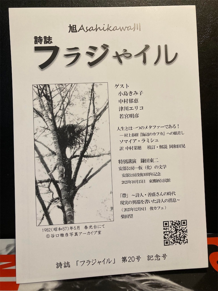 f:id:loureeds:20240602133129j:image