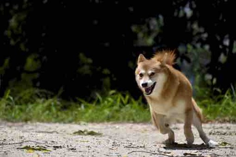 f:id:love-kon77:20190926221516j:plain f:id:love-kon77:20190926221516j:plain