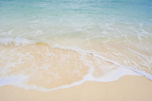 f:id:love-kon77:20190927214420j:plain f:id:love-kon77:20190927214420j:plain