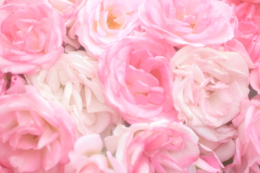 f:id:love-kon77:20190929104705j:plain f:id:love-kon77:20190929104705j:plain