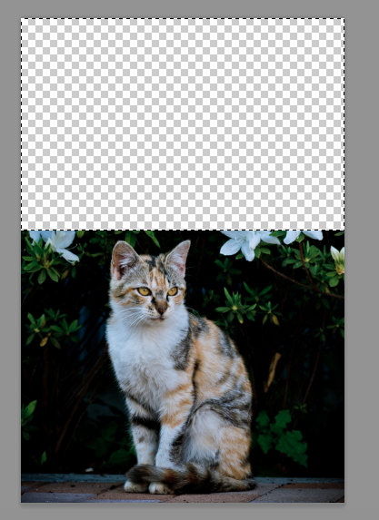 f:id:love-musicflavor0928:20160816164744p:plain f:id:love-musicflavor0928:20160816164744p:plain