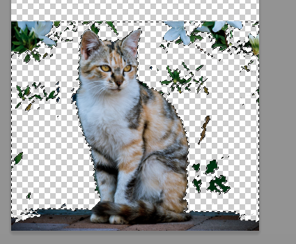 f:id:love-musicflavor0928:20160816165318p:plain f:id:love-musicflavor0928:20160816165318p:plain