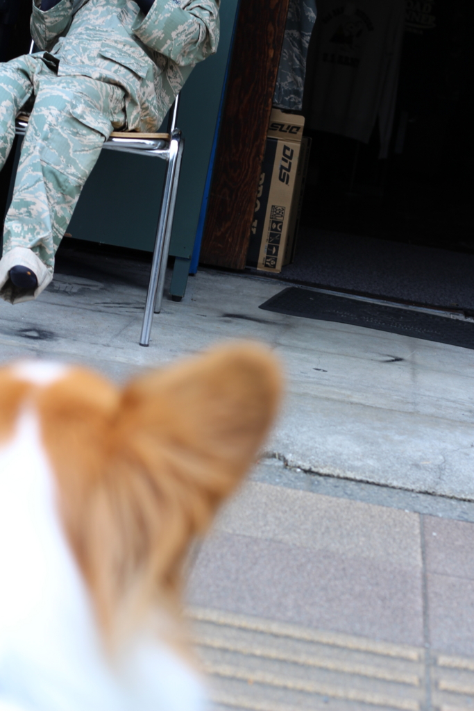 f:id:love-ojyaga:20161010214952j:plain