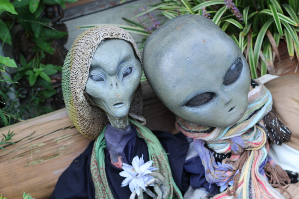 f:id:love-ojyaga:20161010215225j:plain