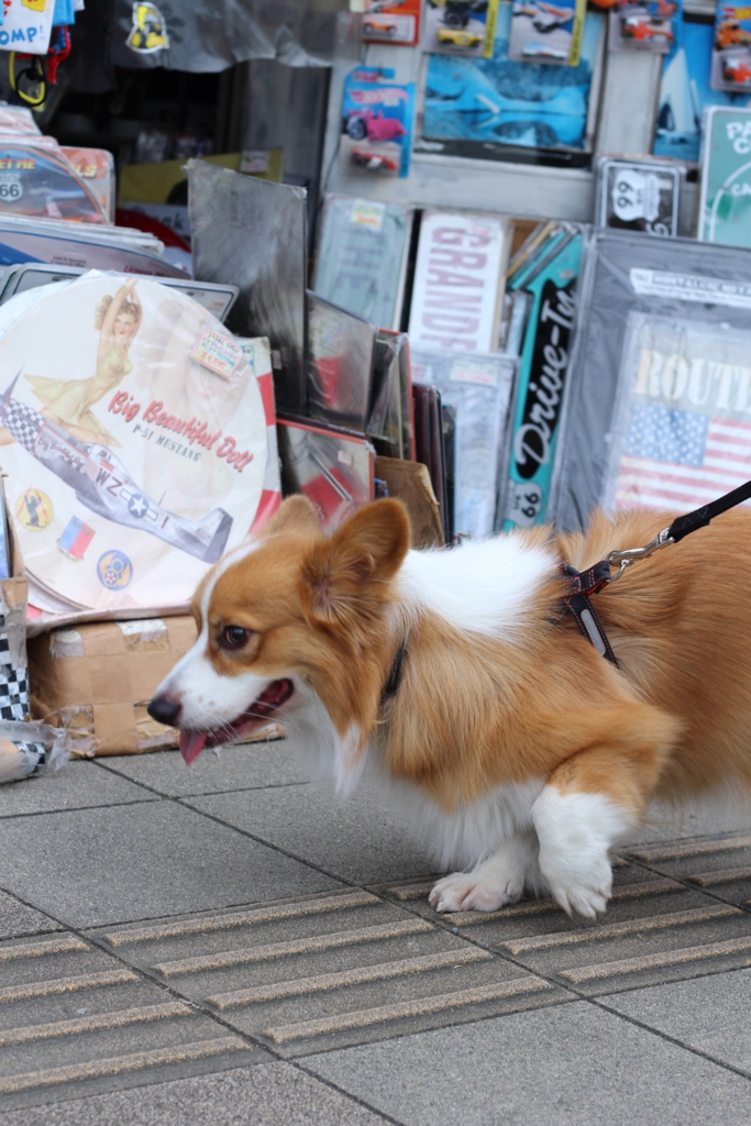 f:id:love-ojyaga:20161010215319j:plain