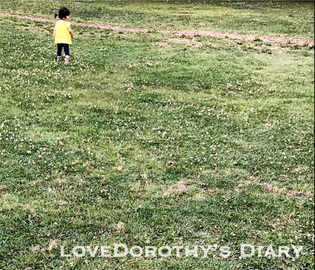 f:id:loveDorothy:20180506020003j:image f:id:loveDorothy:20180506020003j:image